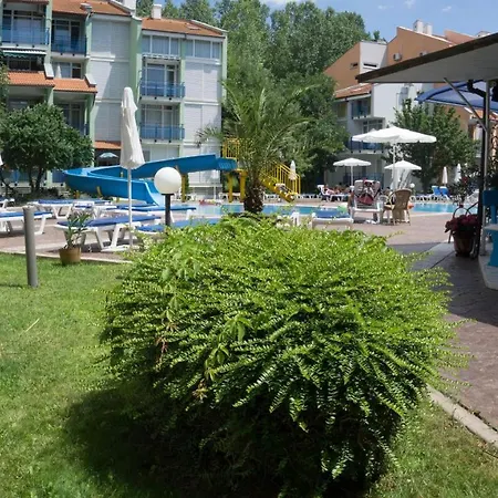 엘리트 써니비치