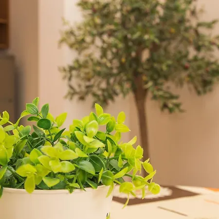 Elite アパートホテル サニービーチ