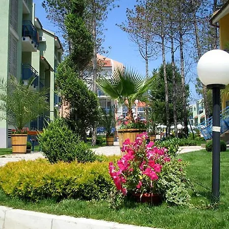 Elite サニービーチ